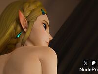 Princess Zelda Waiting for You