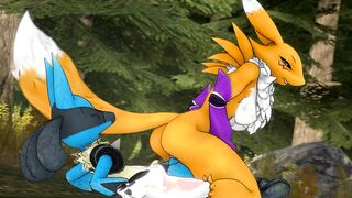 Renamon rides hard Lucario's dick