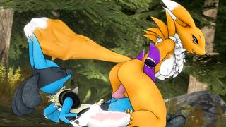 Renamon rides hard Lucario's dick