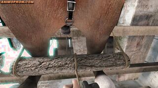 [PART 5] 3D Horse Porn - Breaking The Quiet - Animopron