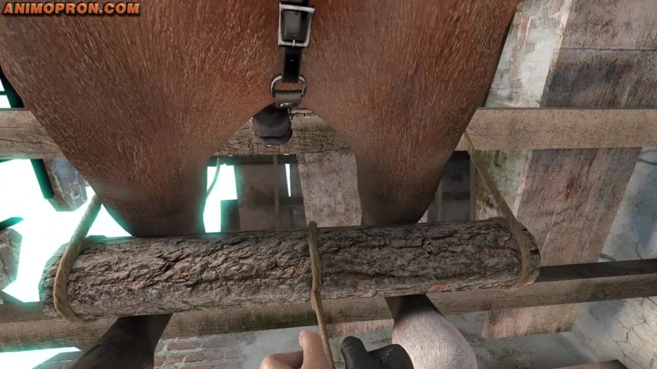 3d Female Horse Porn - PART 5] 3D Horse Porn - Breaking The Quiet - Animopron
