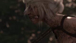 Ciri Cottage Predicament